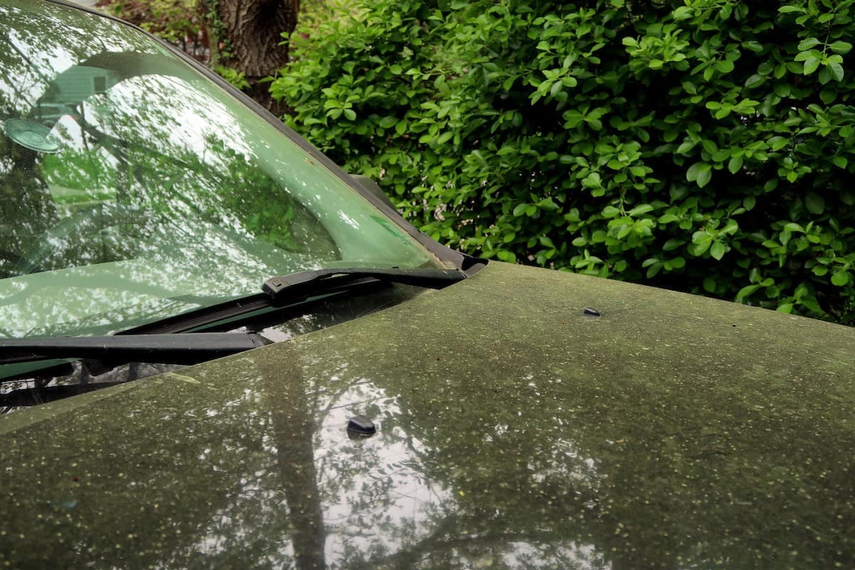 10 Expert Tips for How to Get Pollen Off Your Car